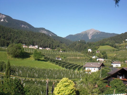 Bildergalerie
