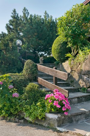 Foto del giardino Tesimo