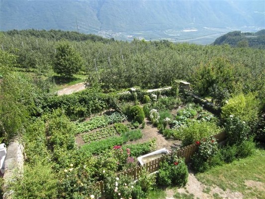 Foto vom Garten Naraun (Tisens - Prissian)