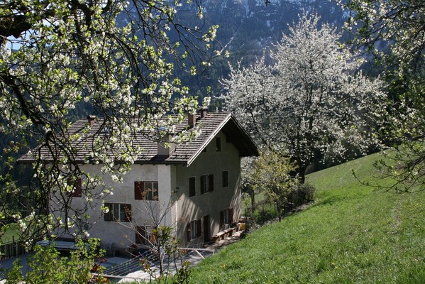 Foto esterno B&B + Appartamenti in agriturismo Weckhof