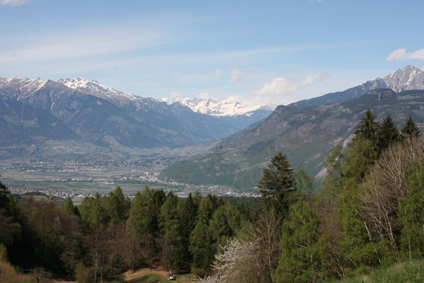 Bildergalerie
