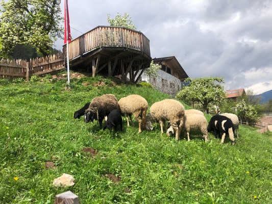 Foto vom Garten Naraun (Tisens - Prissian)