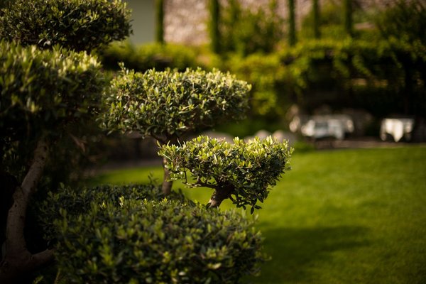 Foto del giardino Marlengo