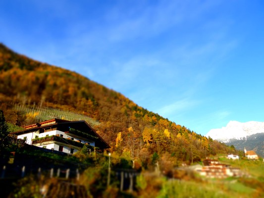 Foto esterno Pensione + Appartamenti Greiterhof