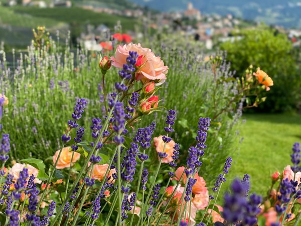 Foto del giardino Marlengo