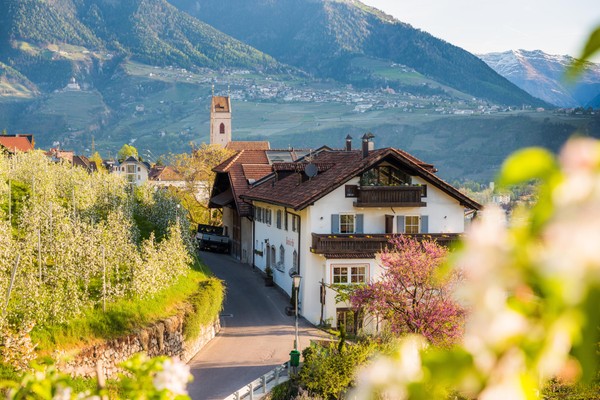 Foto Außenansicht Ferienwohnungen auf dem Bauernhof Pardellerhof