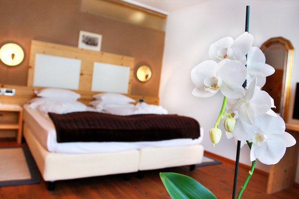 Photo of the room Hotel La Majun