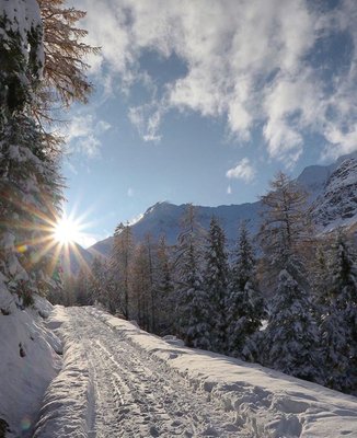 Photo gallery winter