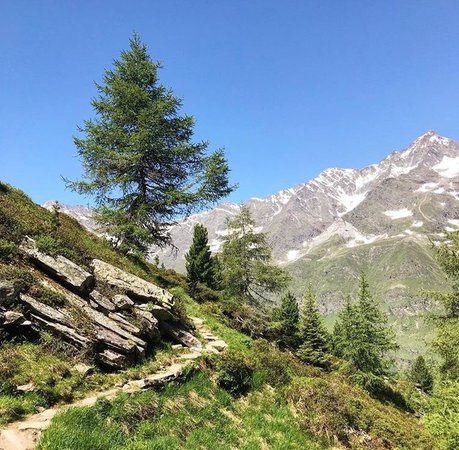 Bildergalerie Moos in Passeier Sommer