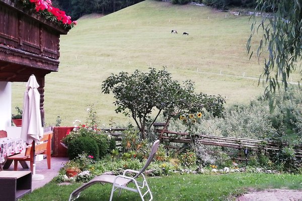 Foto del giardino Moso in Passiria