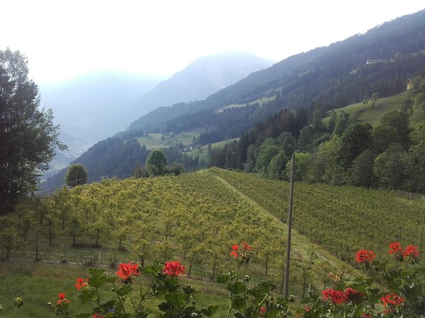 Vista dalla struttura