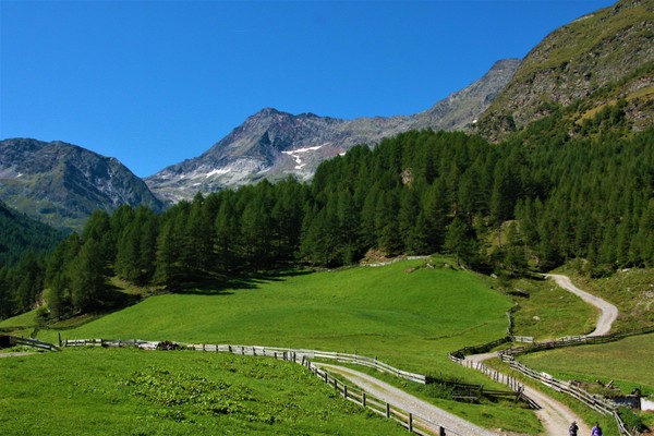 Bildergalerie