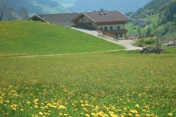 Foto Außenansicht Ferienwohnungen auf dem Bauernhof Egarthof