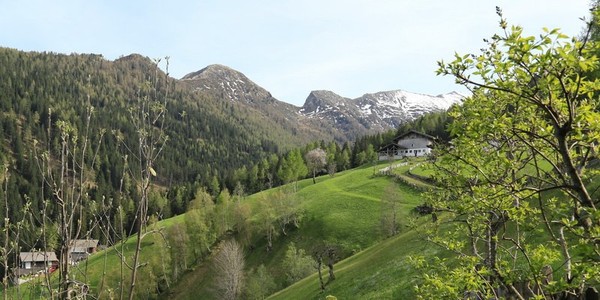 Bildergalerie