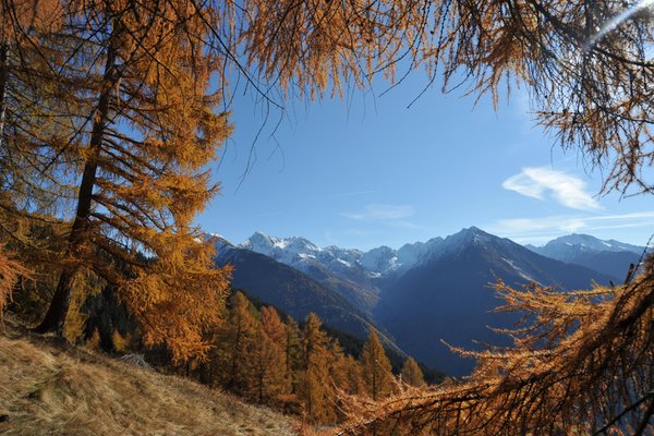 Bildergalerie Sommer