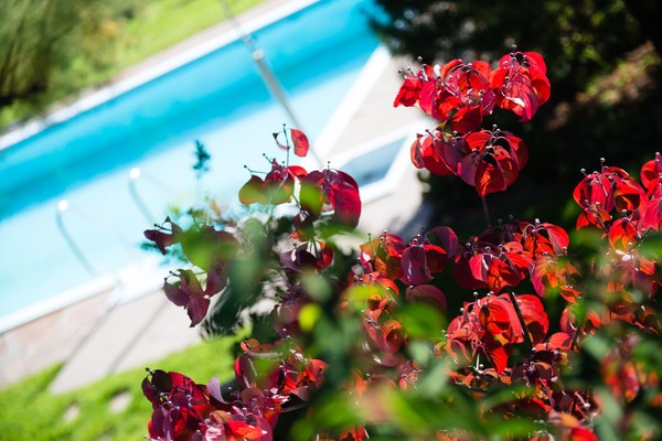 Photo of the outdoor swimming pool