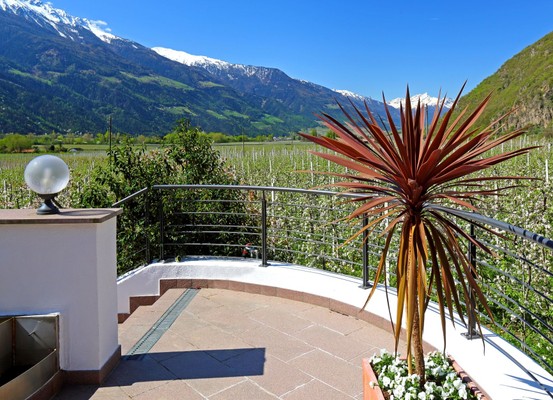 Photo of the terrace