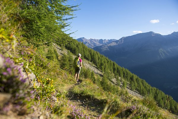 Attività estate Merano e dintorni