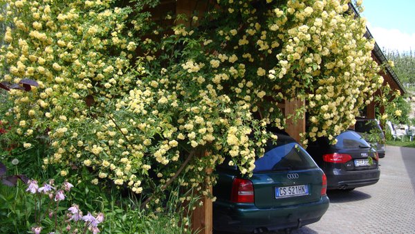 Il parcheggio Residence Sonnenburger