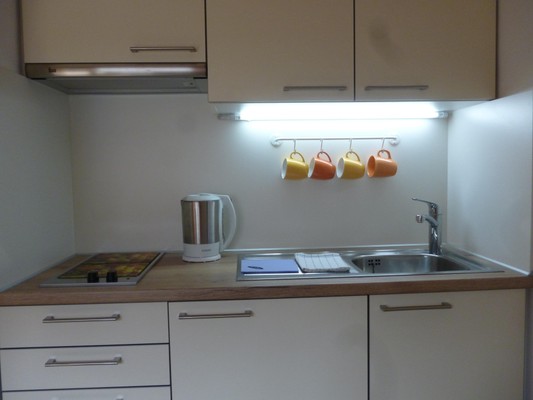Photo of the kitchen Schnitzer