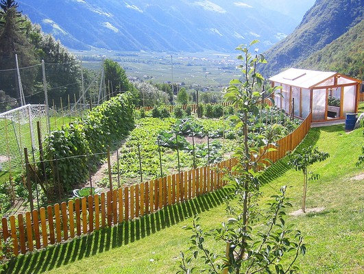 Photo of the garden Parcines / Partschins