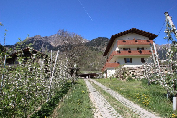 Foto esterno Appartamenti in agriturismo Mareinhof