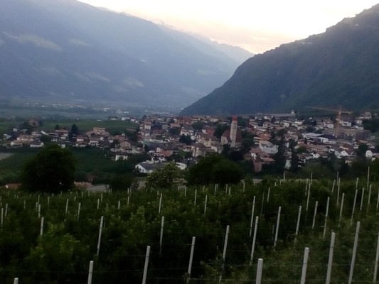 Bildergalerie