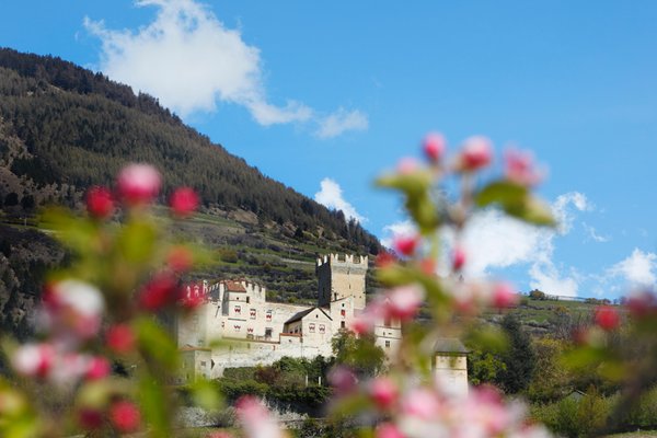 Caratteristica rappresentazione di Alta Venosta (Val Venosta)