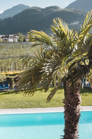 Foto della piscina all'aperto