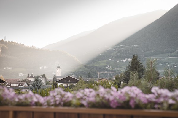 Foto del balcone Im Tiefenbrunn