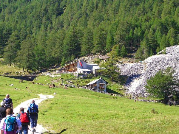 Schlanders - Laas typische Aufnahme des Gebiets