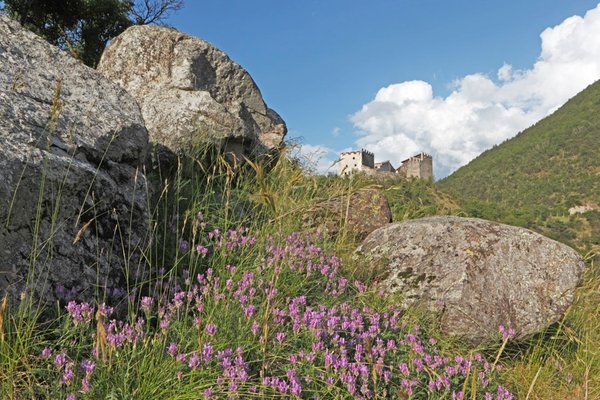 Laces - Val Martello caratteristico scatto fotografico della zona