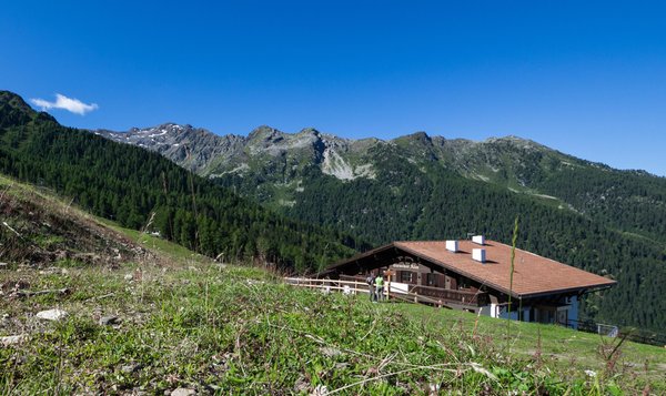 Presentation of the area Laces - Val Martello / Latsch - Martelltal