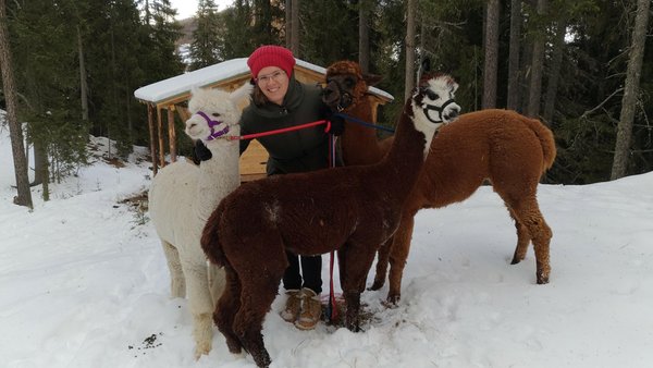Photo of the animals