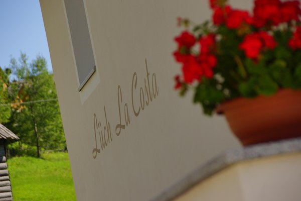 Photo of some details Lüch La Costa
