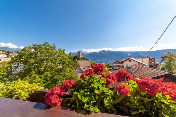 Vista dalla struttura