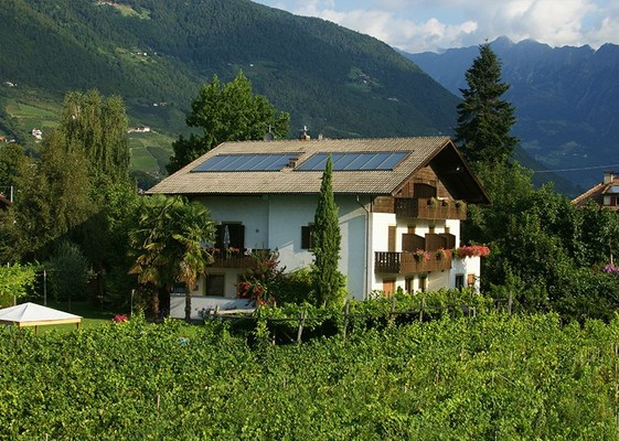 Photo exteriors Apartments Hännsl am Ort – Ferien & Wein