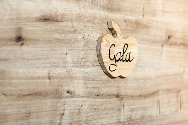 Foto dell'appartamento Anichhof