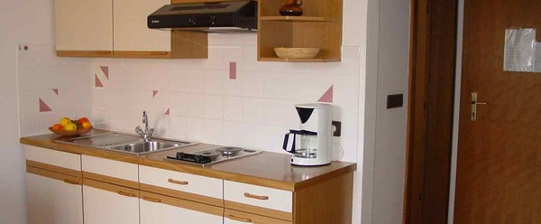 Photo of the kitchen Lanz