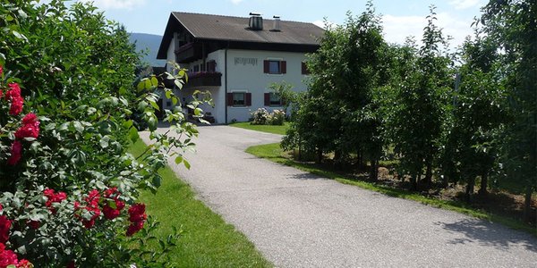 Foto esterno in estate Kreuzwegerhof