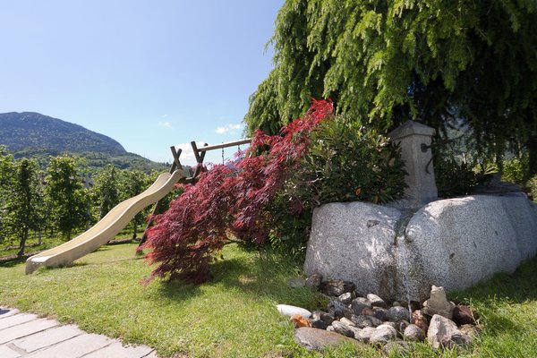 La piscina Kreuzwegerhof - Appartamenti 3 soli