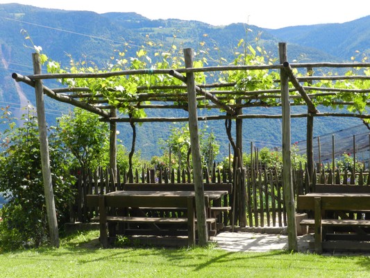 Photo of the garden Foiana / Völlan (Lana)