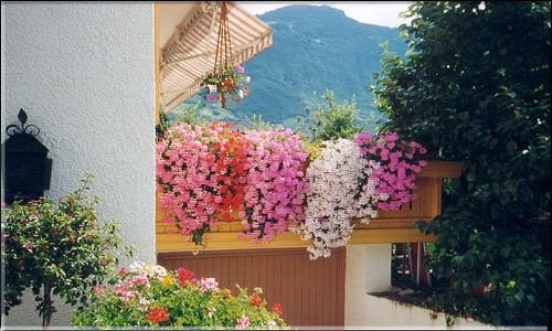 Foto del balcone Ketterlerhof