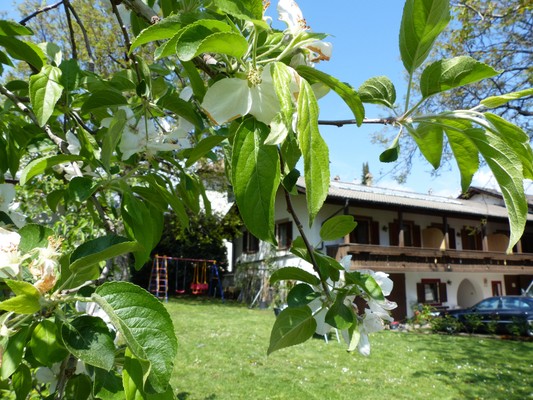 Photo of the garden Lana