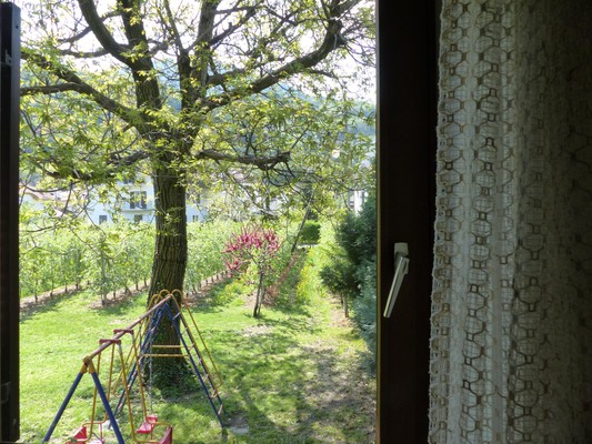 Photo of the garden Lana