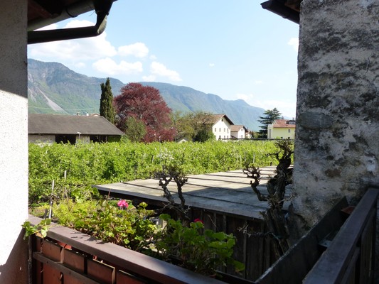 Photo of the garden Lana