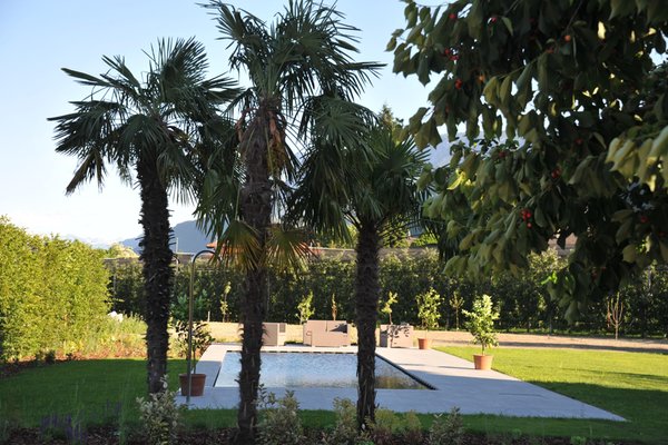 Foto della piscina all'aperto