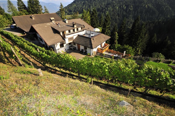 La posizione Appartamenti in agriturismo Gruberhof Foiana (Lana)