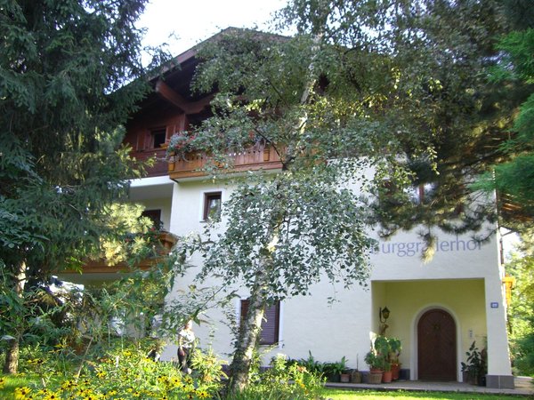 Foto estiva di presentazione Appartamenti in agriturismo Burggräflerhof