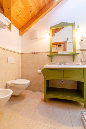 Foto del bagno Appartamenti in agriturismo Maso Planat